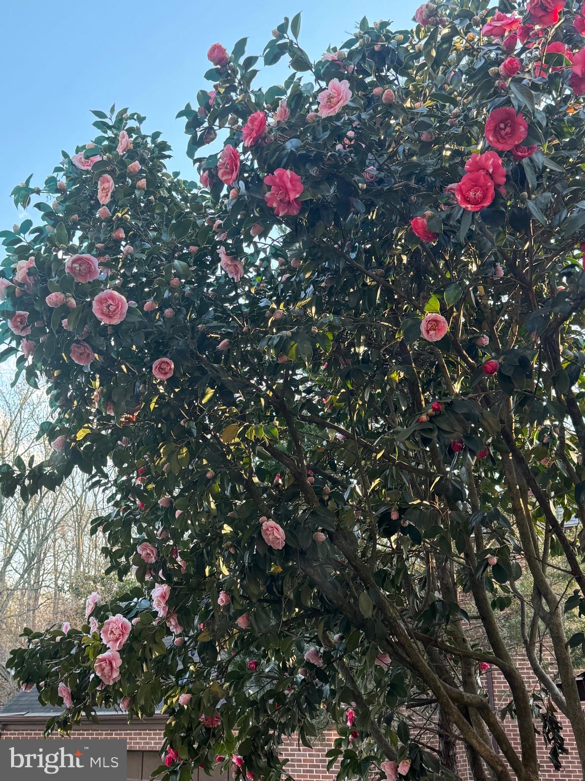 11310 HARBORSIDE CLUSTER