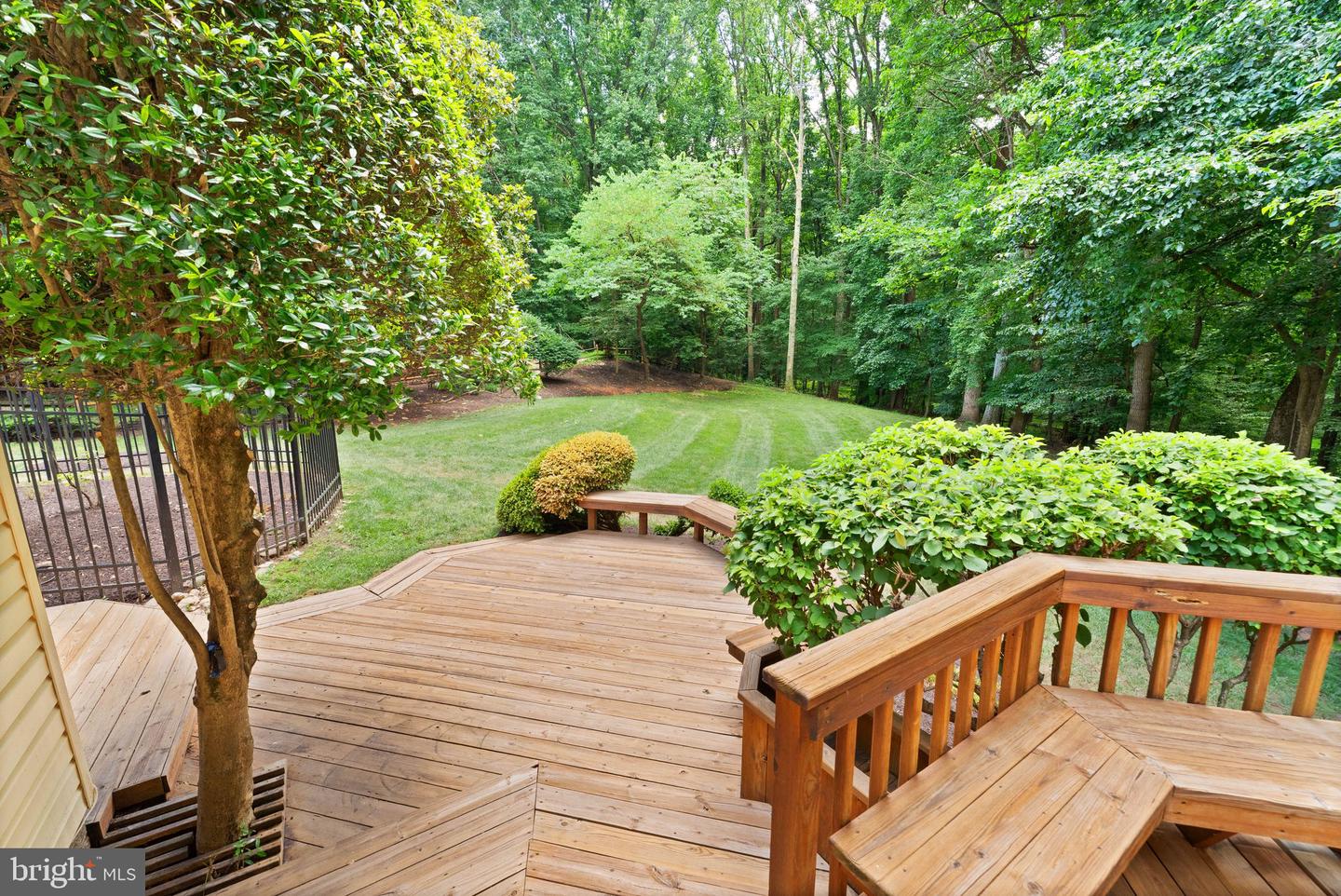 10912 Blue Roan Rd