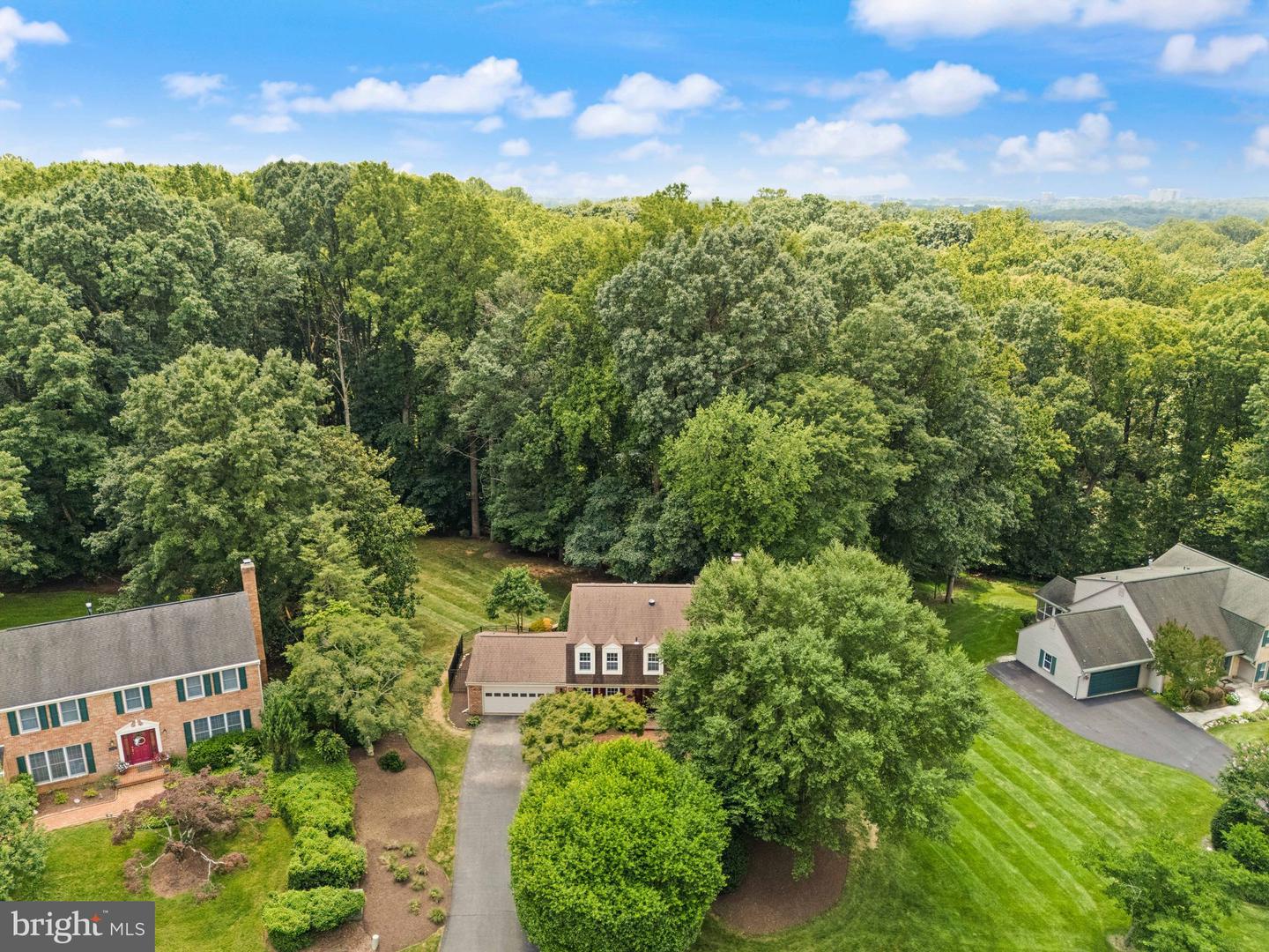 10912 Blue Roan Rd