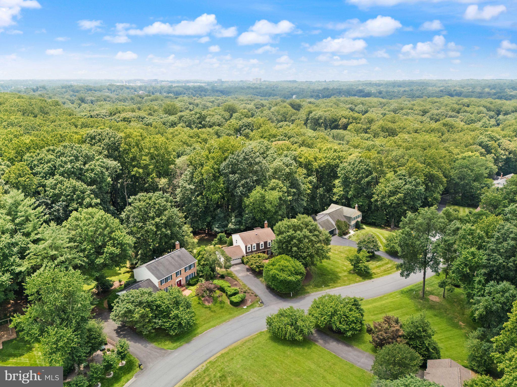 10912 Blue Roan Rd