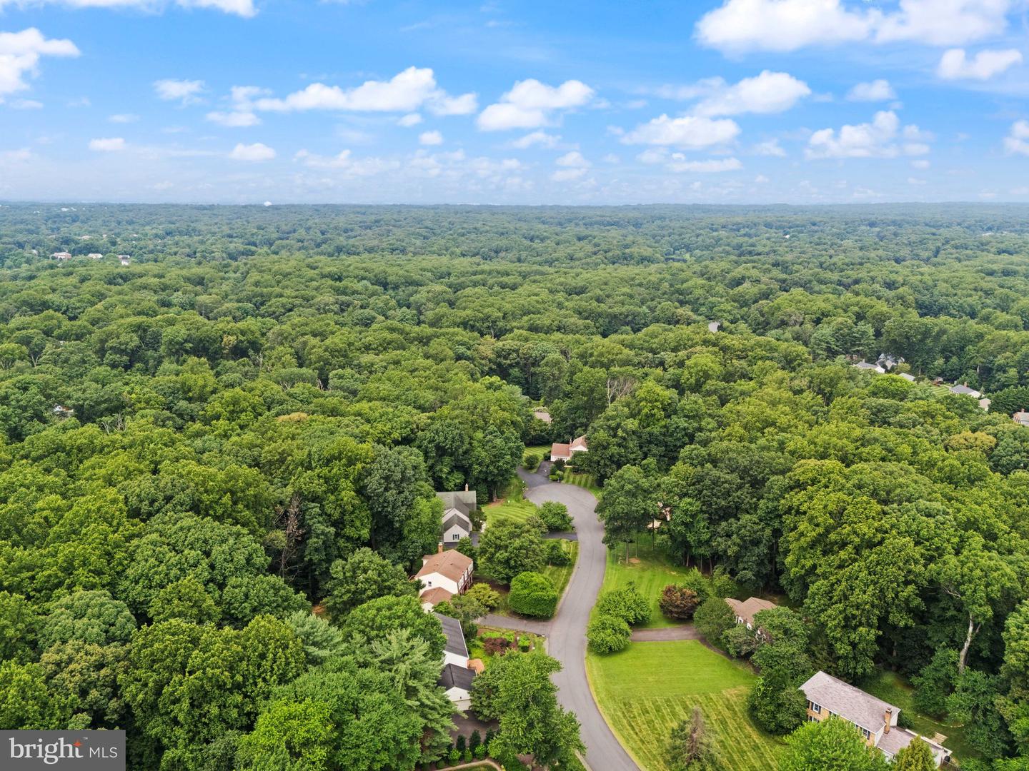 10912 Blue Roan Rd
