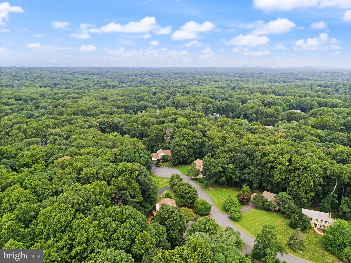 10912 Blue Roan Rd