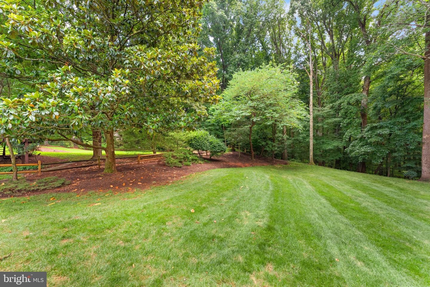 10912 Blue Roan Rd