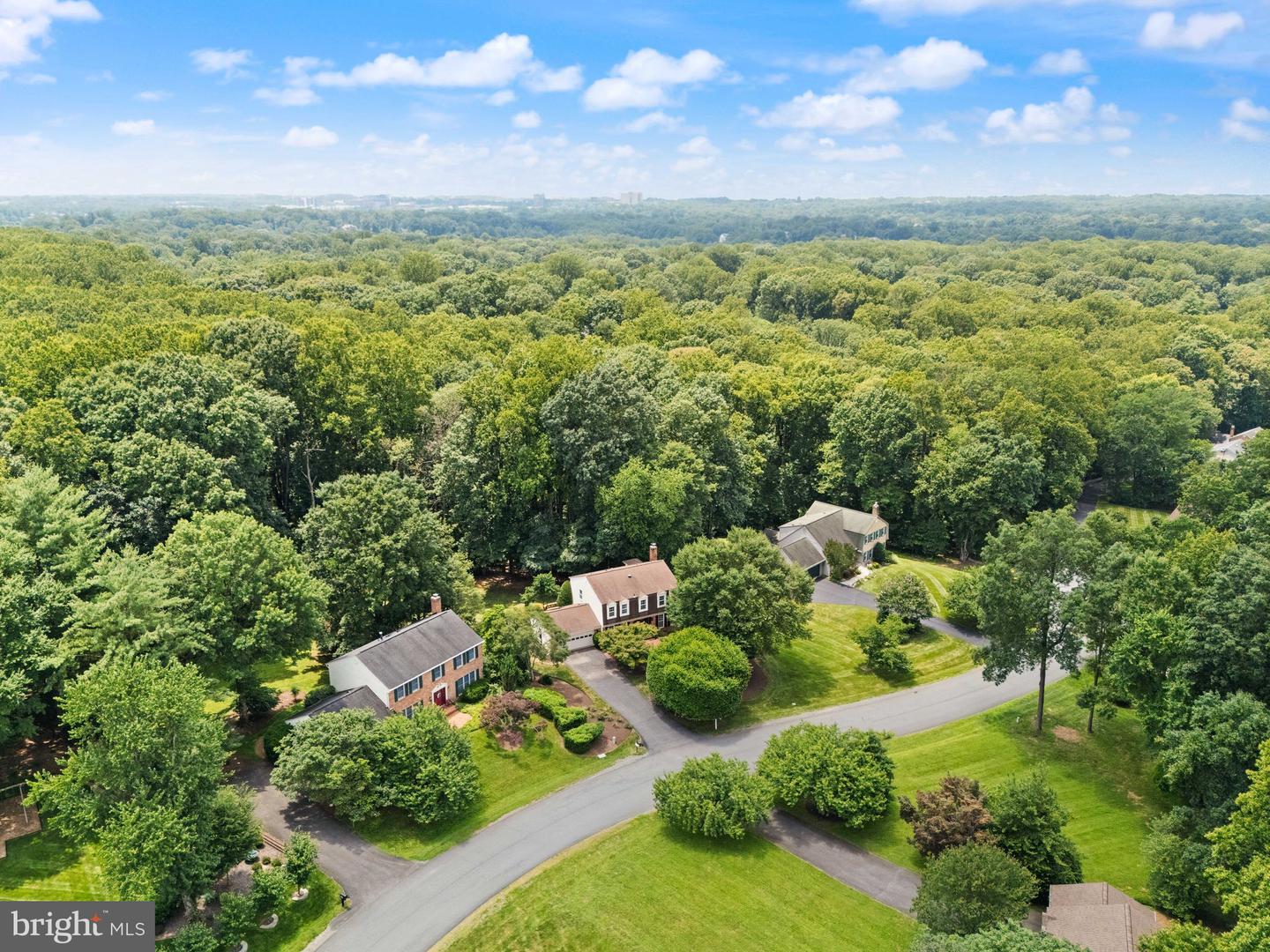 10912 Blue Roan Rd