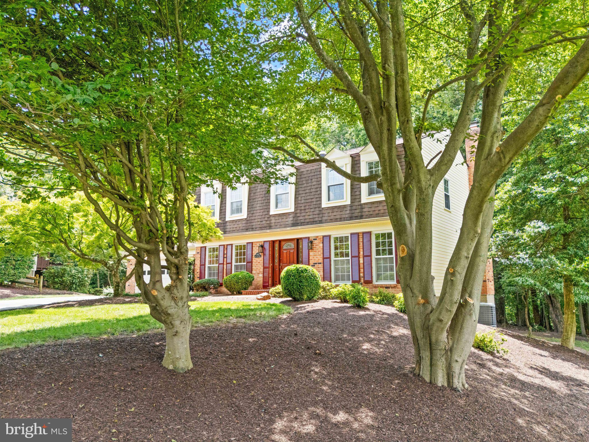 10912 Blue Roan Rd