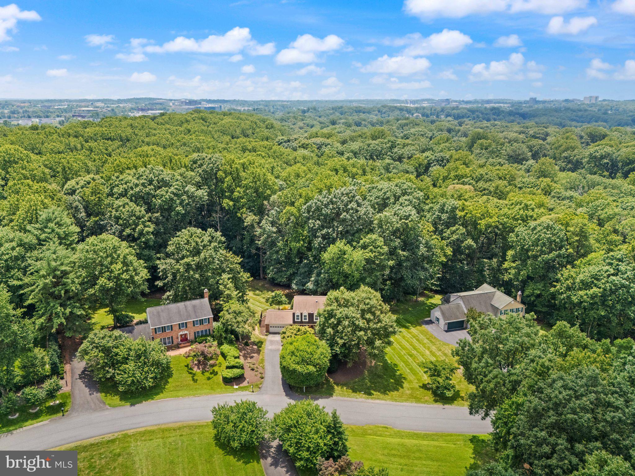 10912 Blue Roan Rd