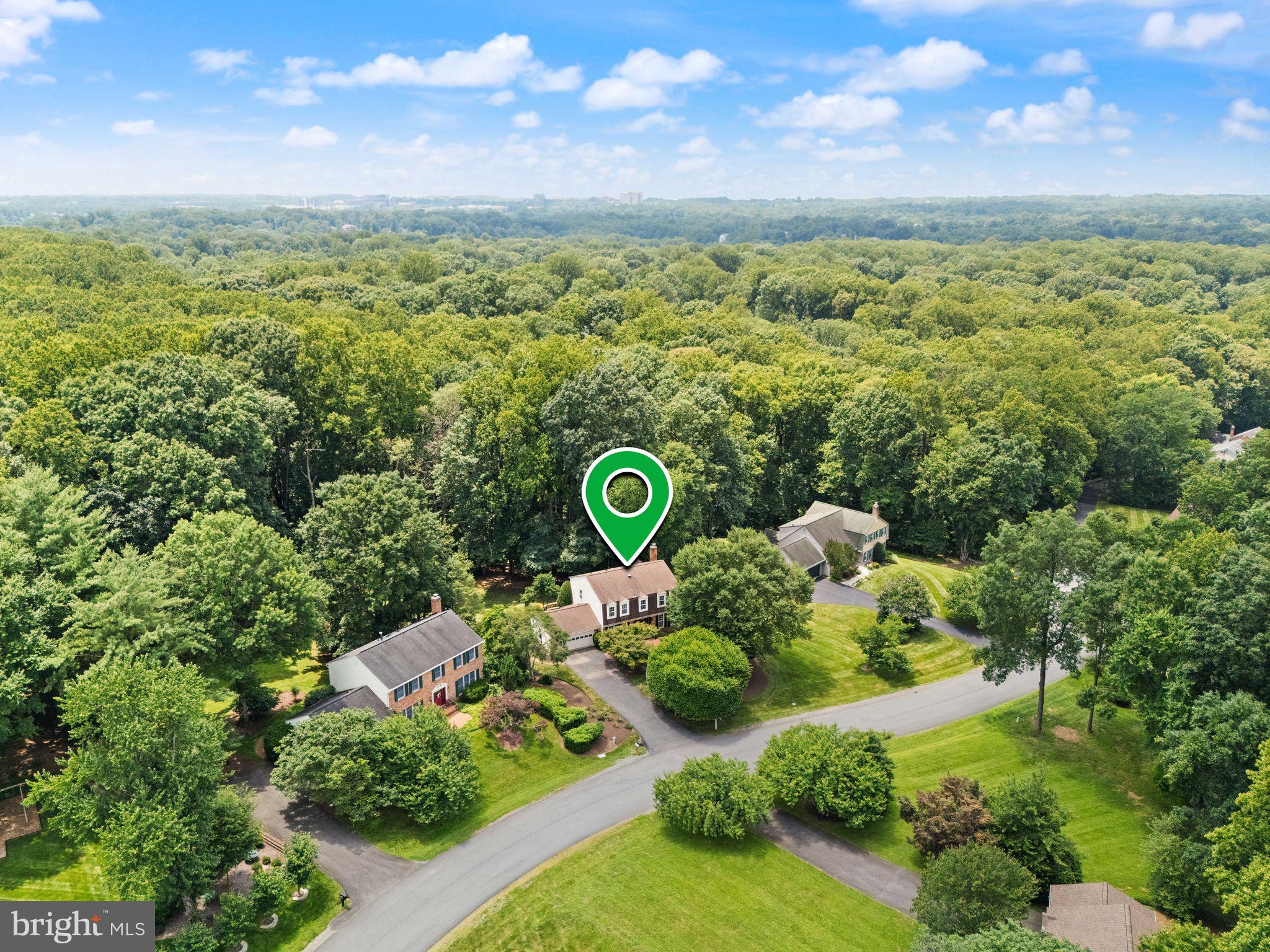 10912 Blue Roan Rd