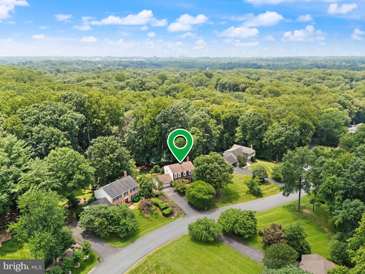 10912 Blue Roan Rd
