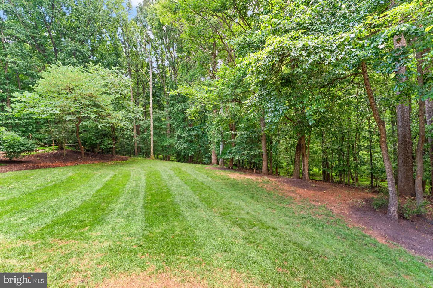 10912 Blue Roan Rd