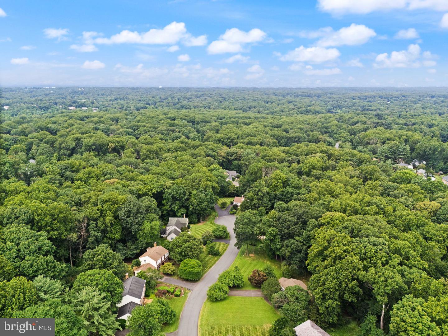 10912 Blue Roan Rd