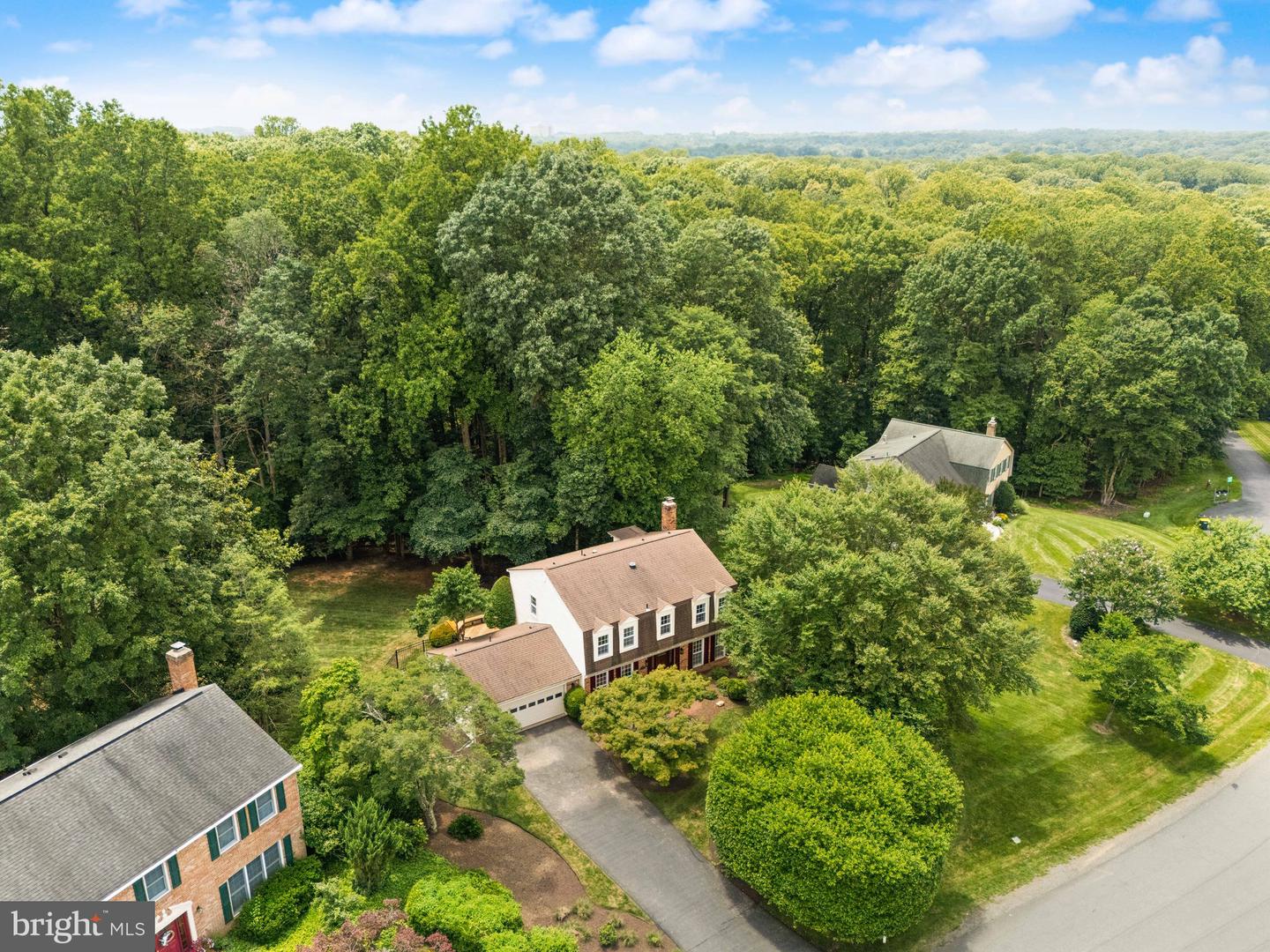 10912 Blue Roan Rd