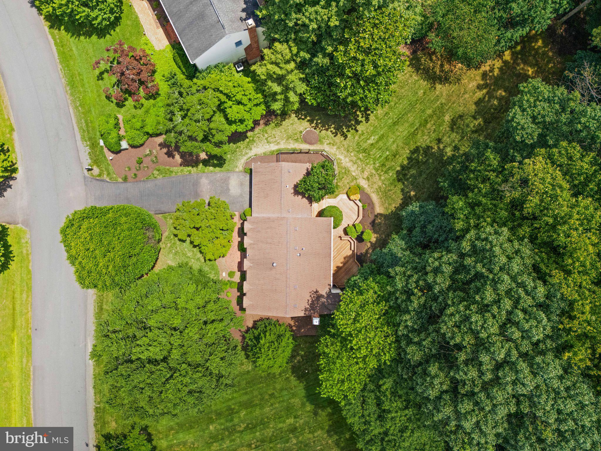 10912 Blue Roan Rd