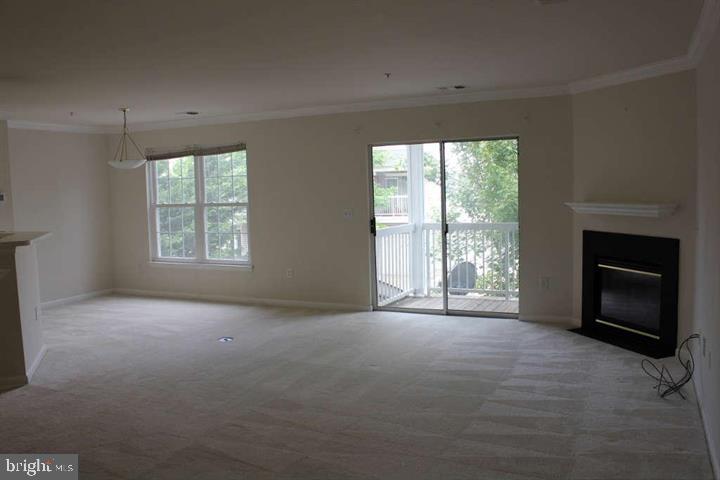 12858 FAIR BRIAR LN #12858