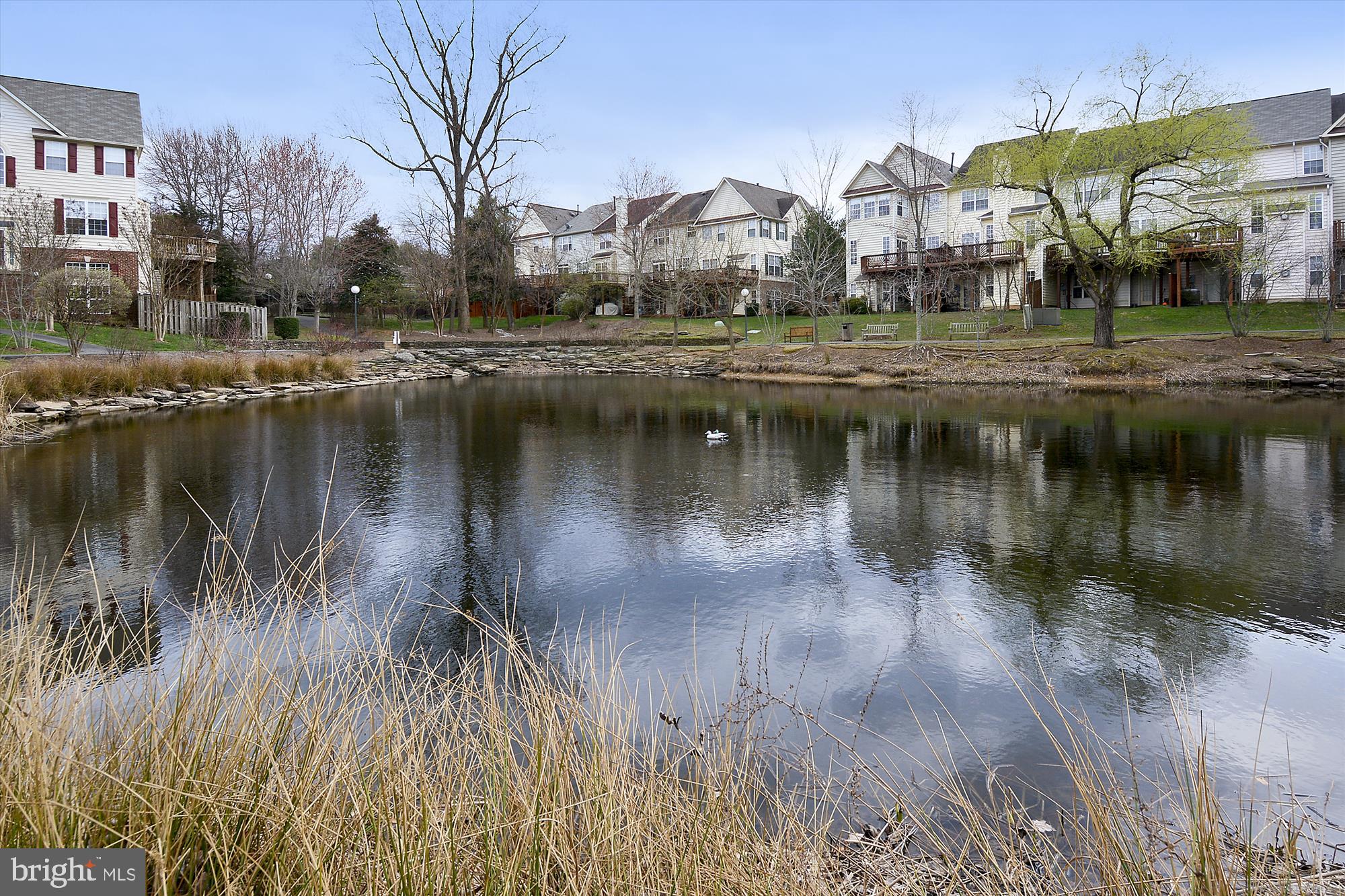 4138 Fountainside Ln #A302