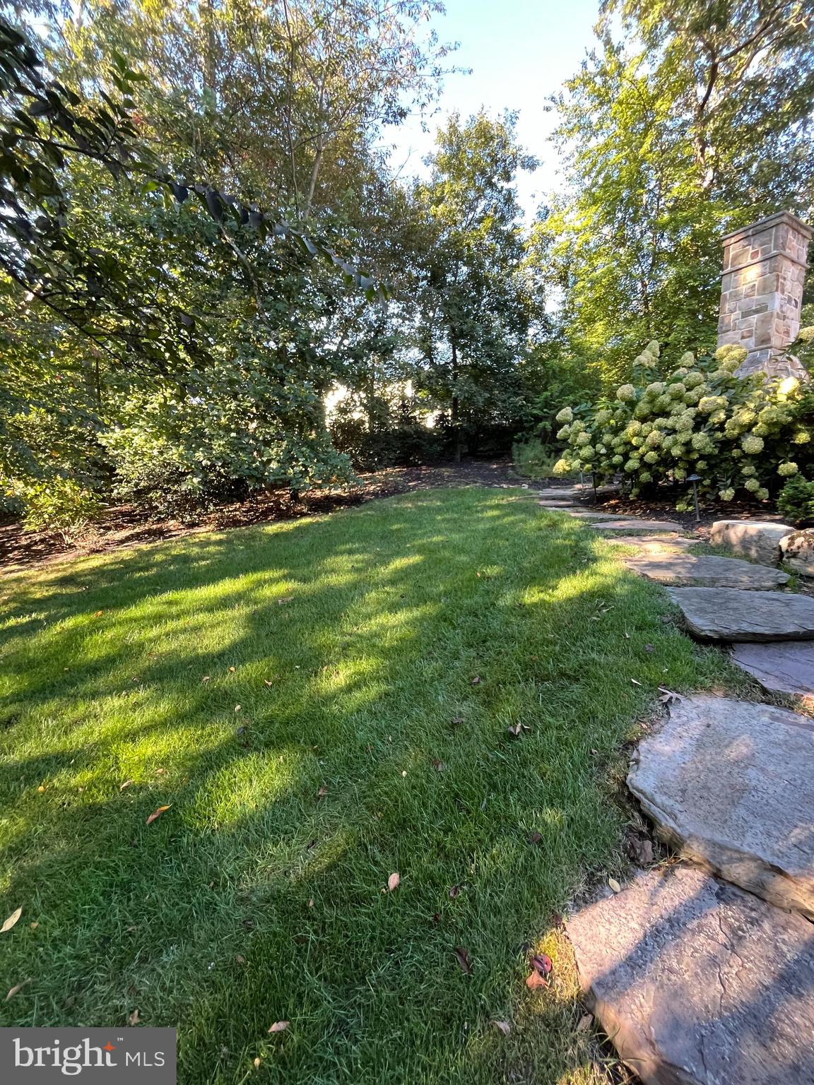 1239 Daleview Dr