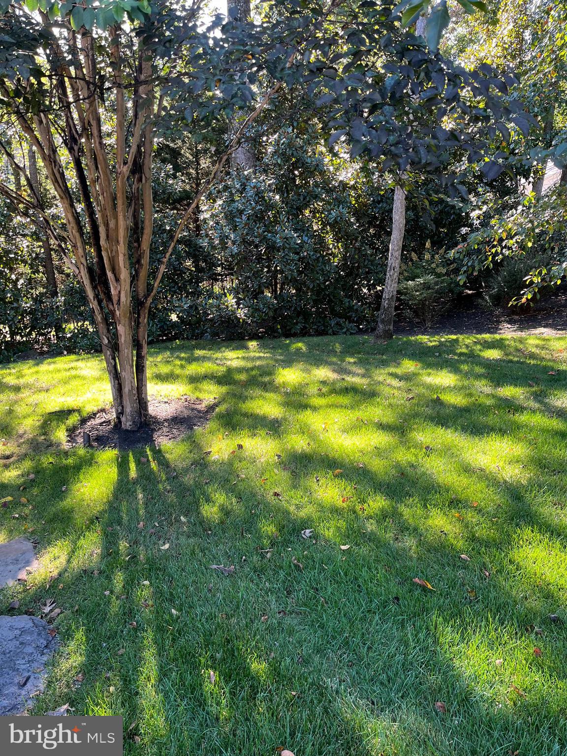 1239 Daleview Dr