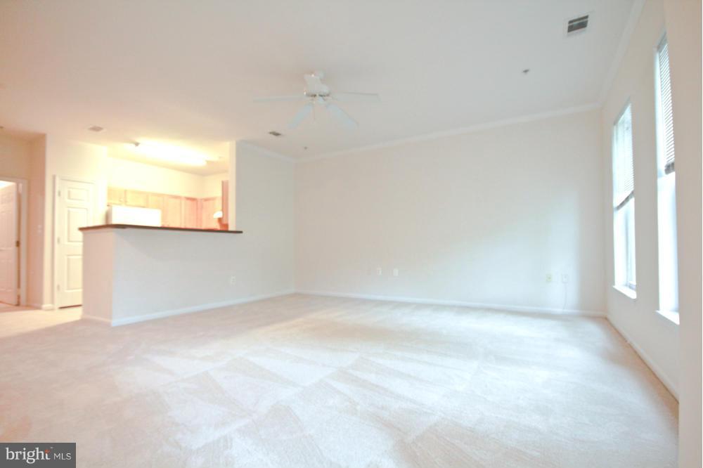 5107 TRAVIS EDWARD WAY #B
