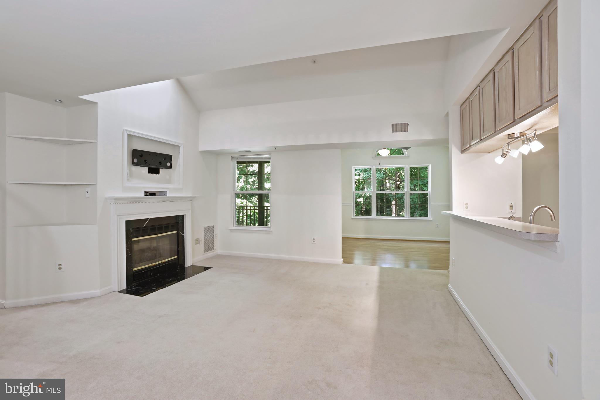 4124 MONUMENT CT #303