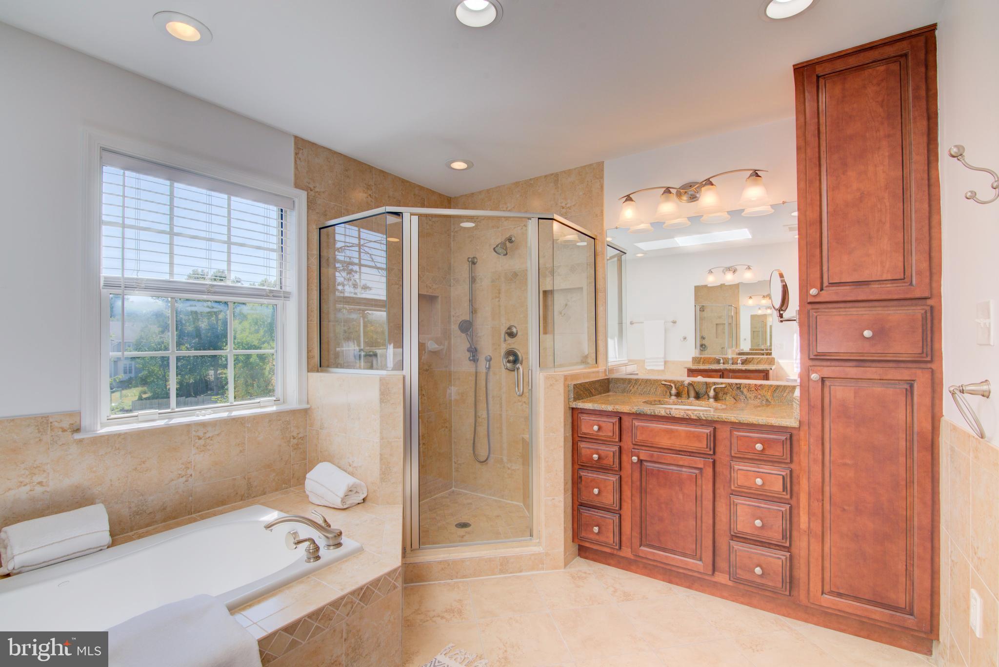 12203 MEADOWSTREAM COURT