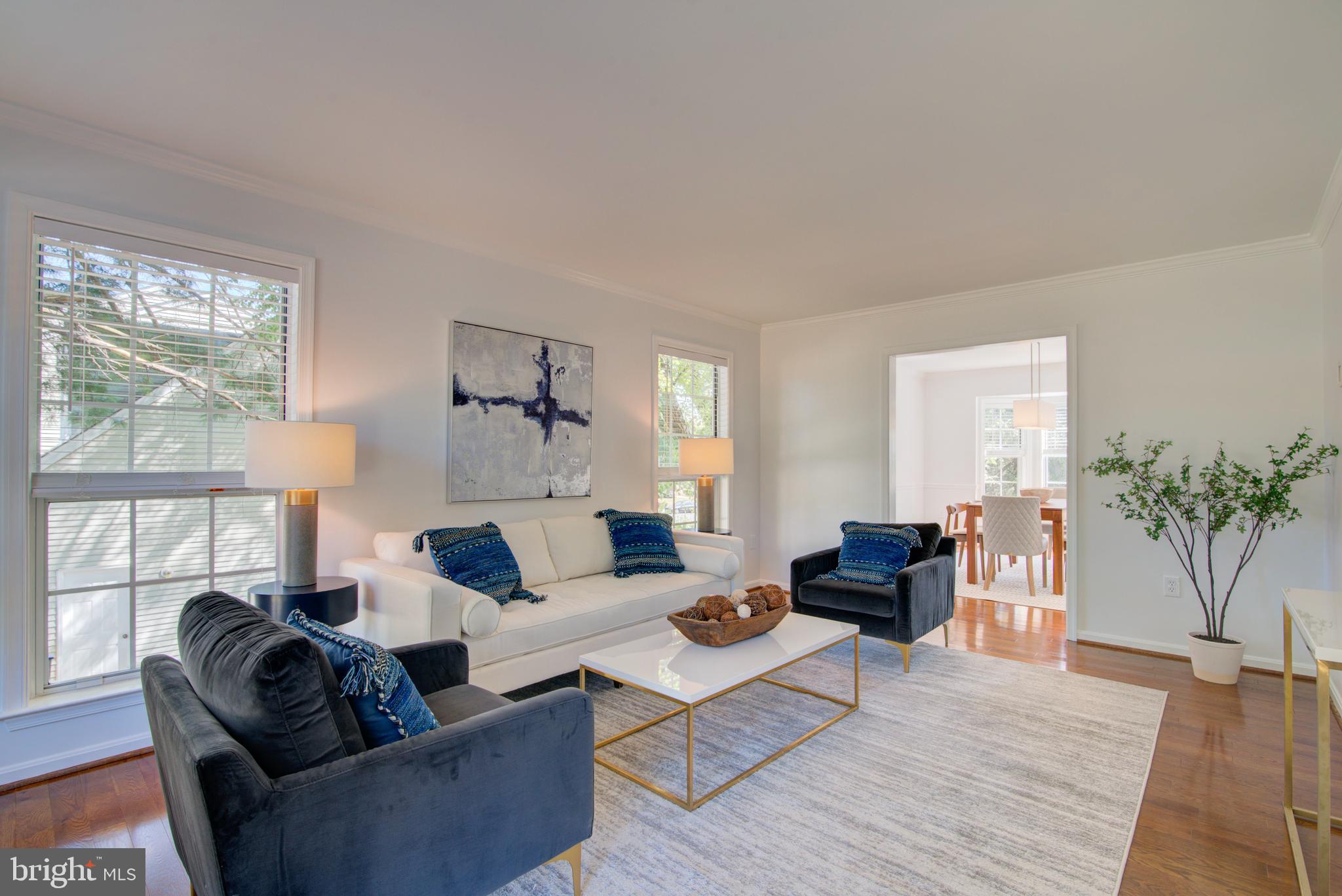 12203 MEADOWSTREAM COURT