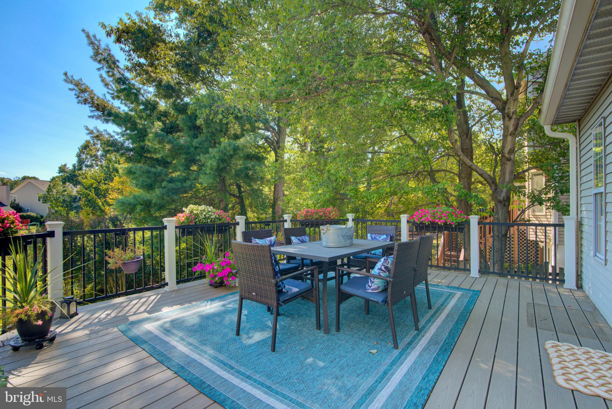12203 MEADOWSTREAM COURT