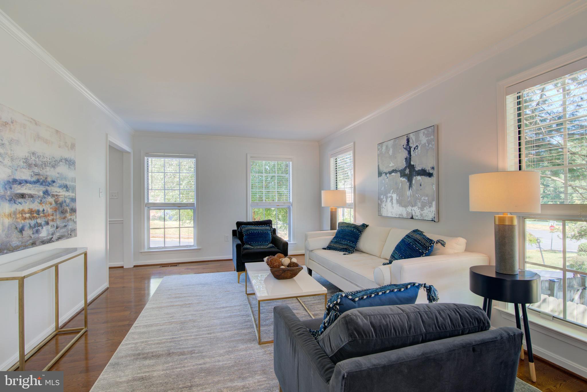 12203 MEADOWSTREAM COURT