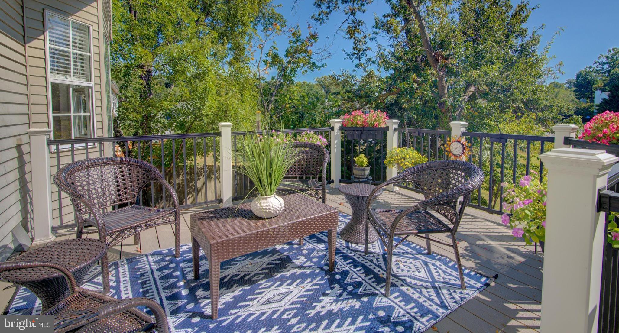 12203 MEADOWSTREAM COURT