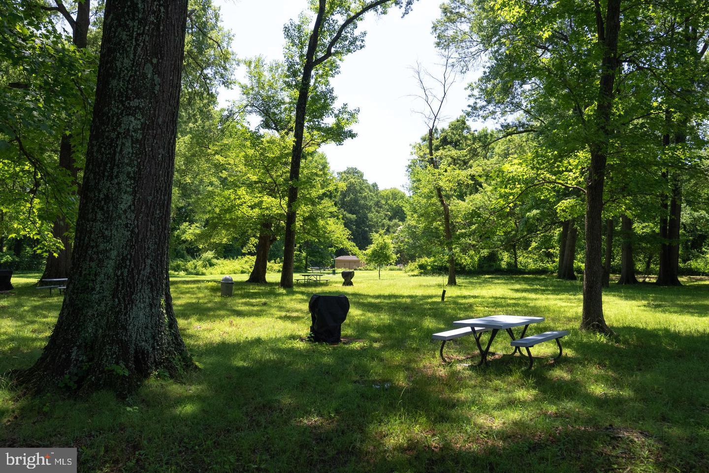 6631 WAKEFIELD DRIVE 804