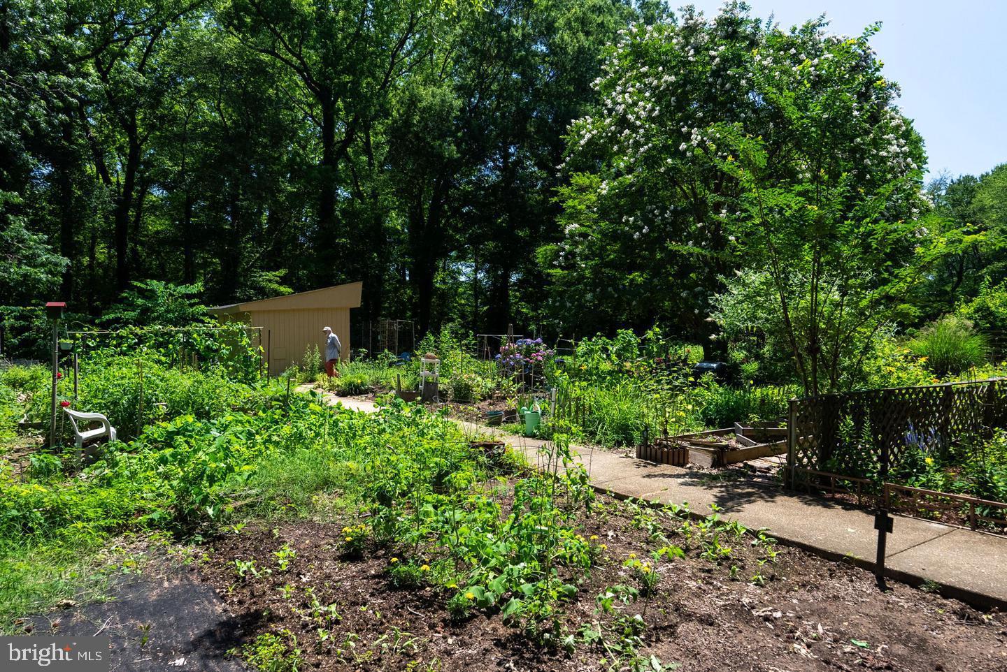 6631 WAKEFIELD DRIVE 804