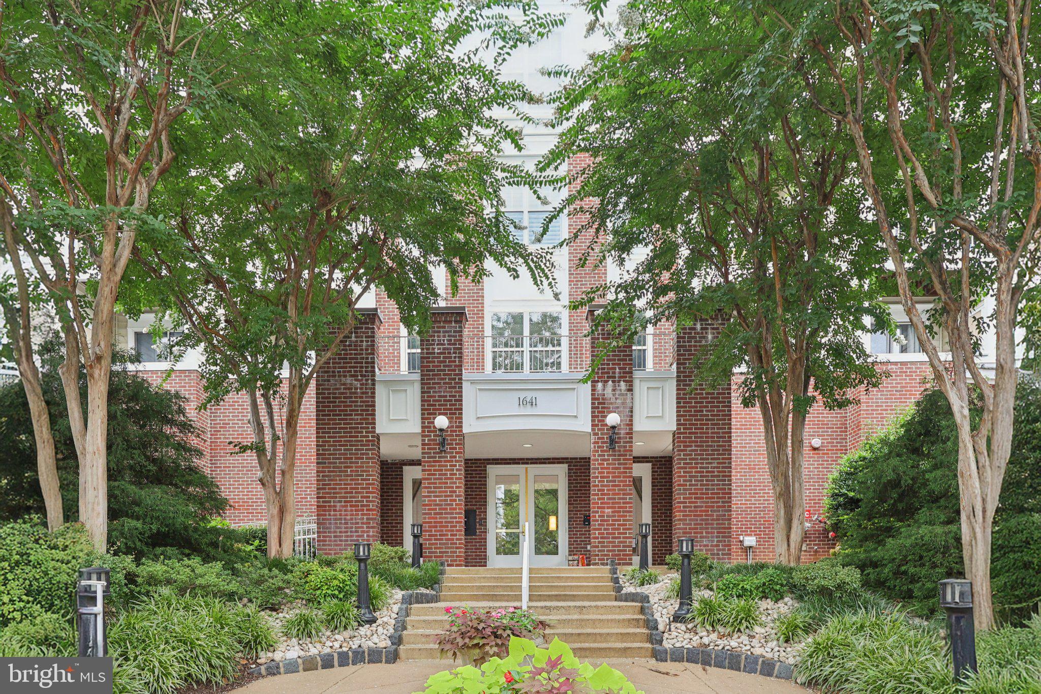 1641 International Dr #207