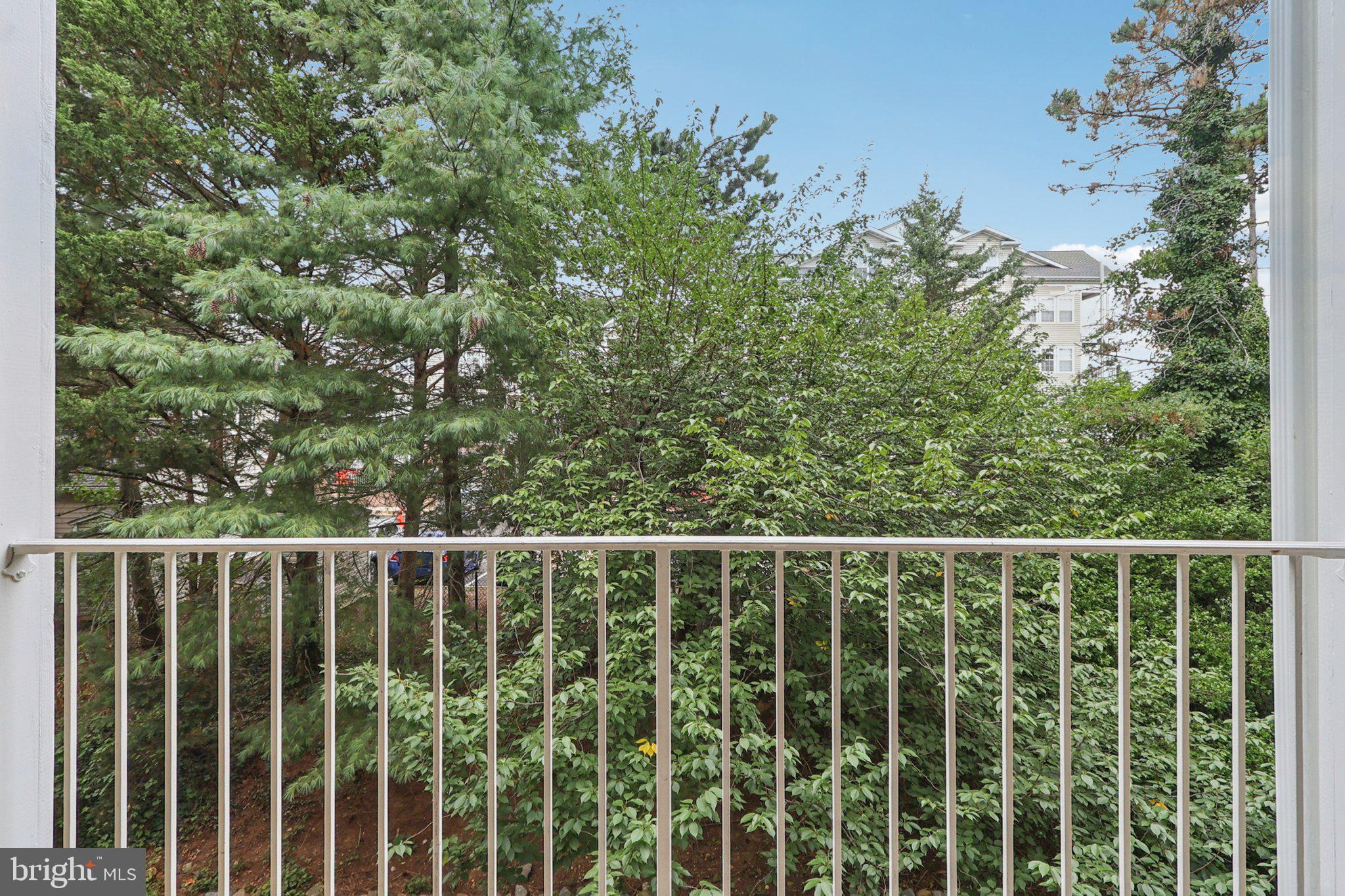 1641 International Dr #207