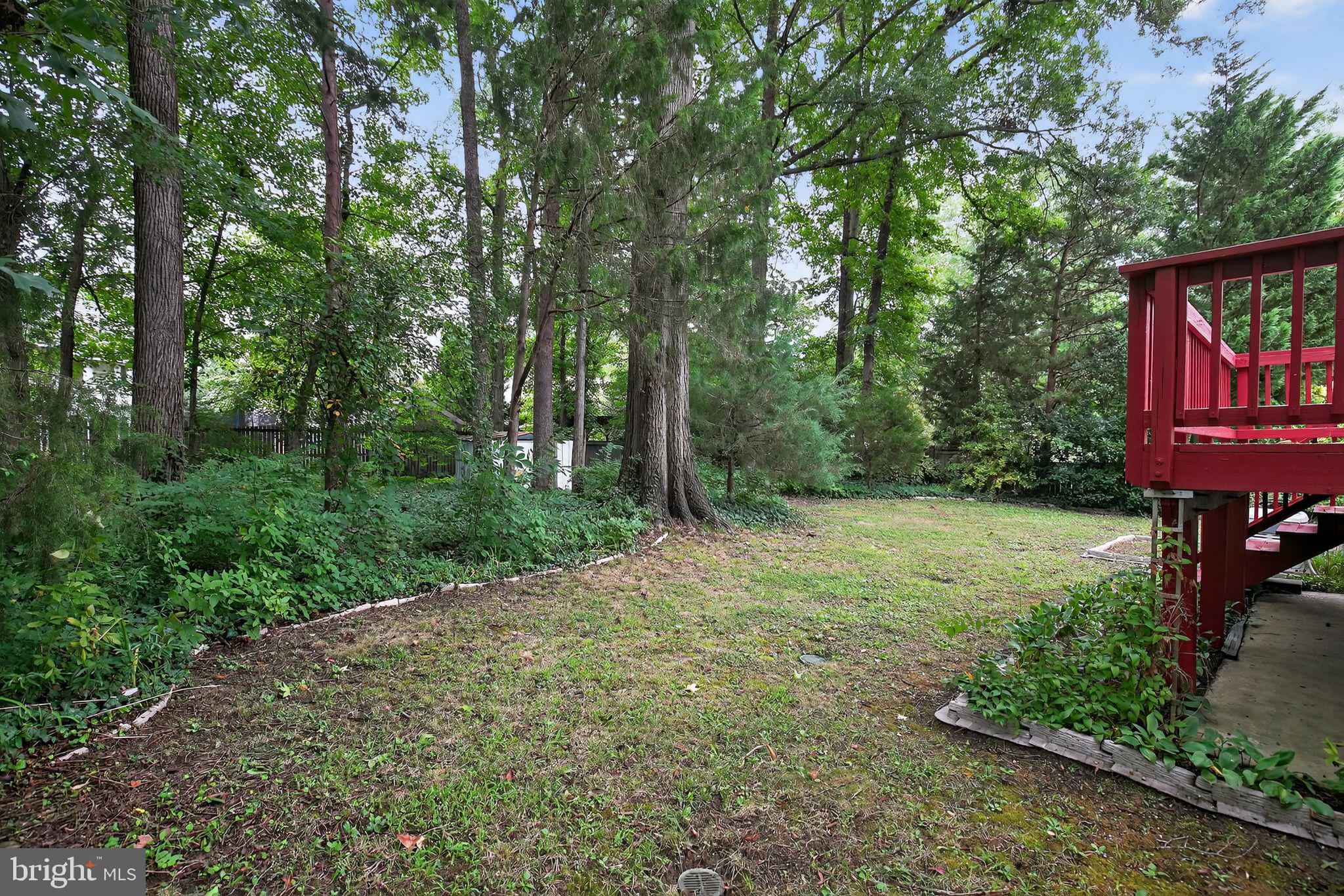 1704 COOL SPRING DRIVE