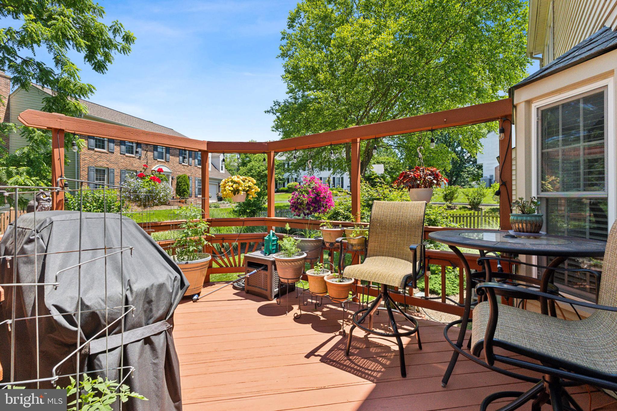 13132 BRADLEY FARM DRIVE