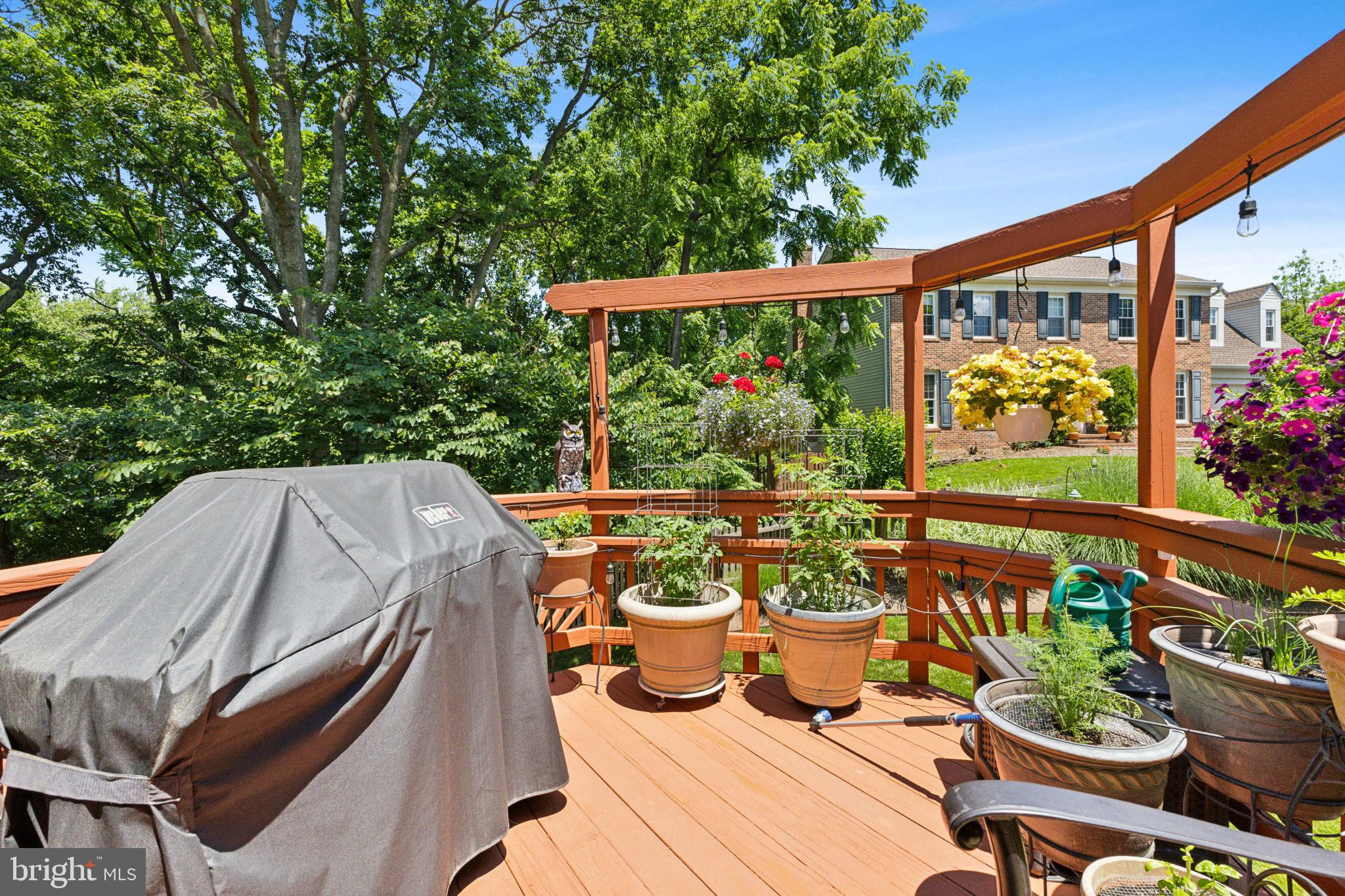 13132 BRADLEY FARM DRIVE