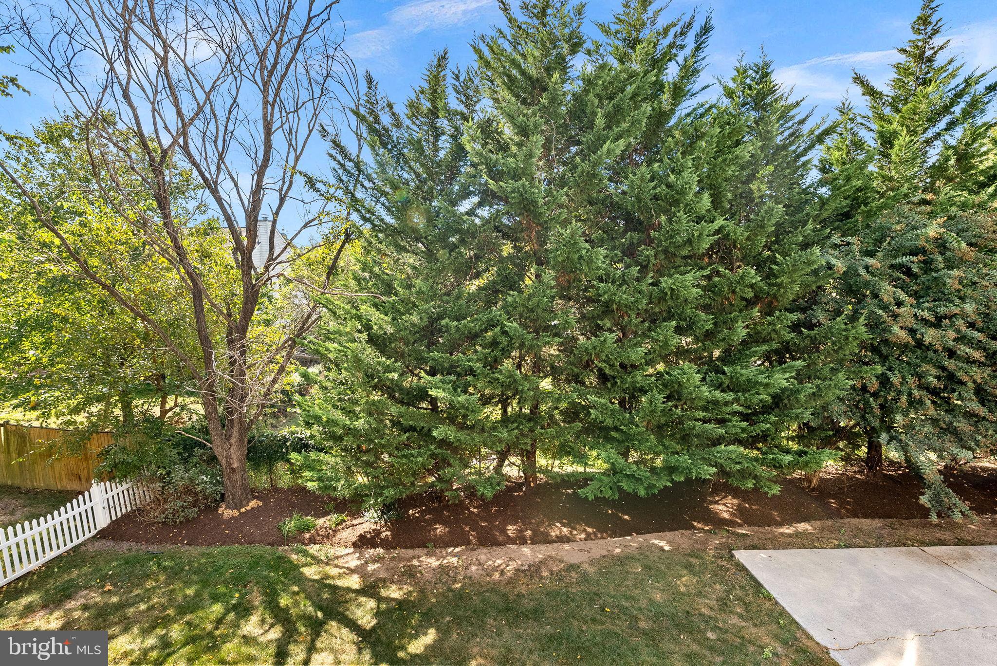 1372 DOMINION RIDGE LANE