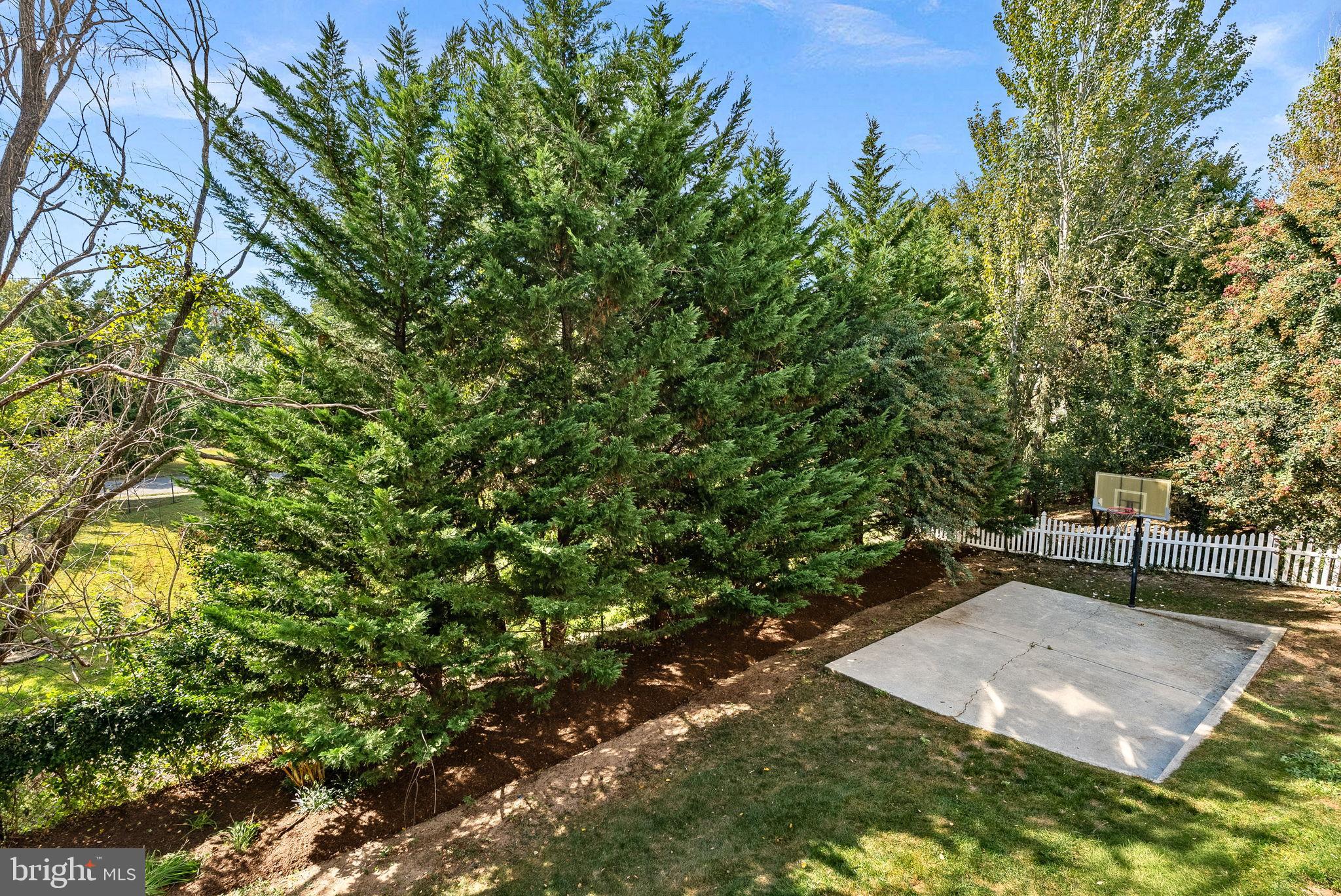 1372 DOMINION RIDGE LANE