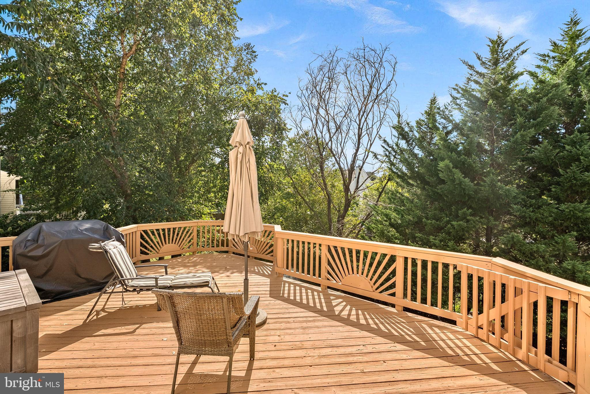 1372 DOMINION RIDGE LANE