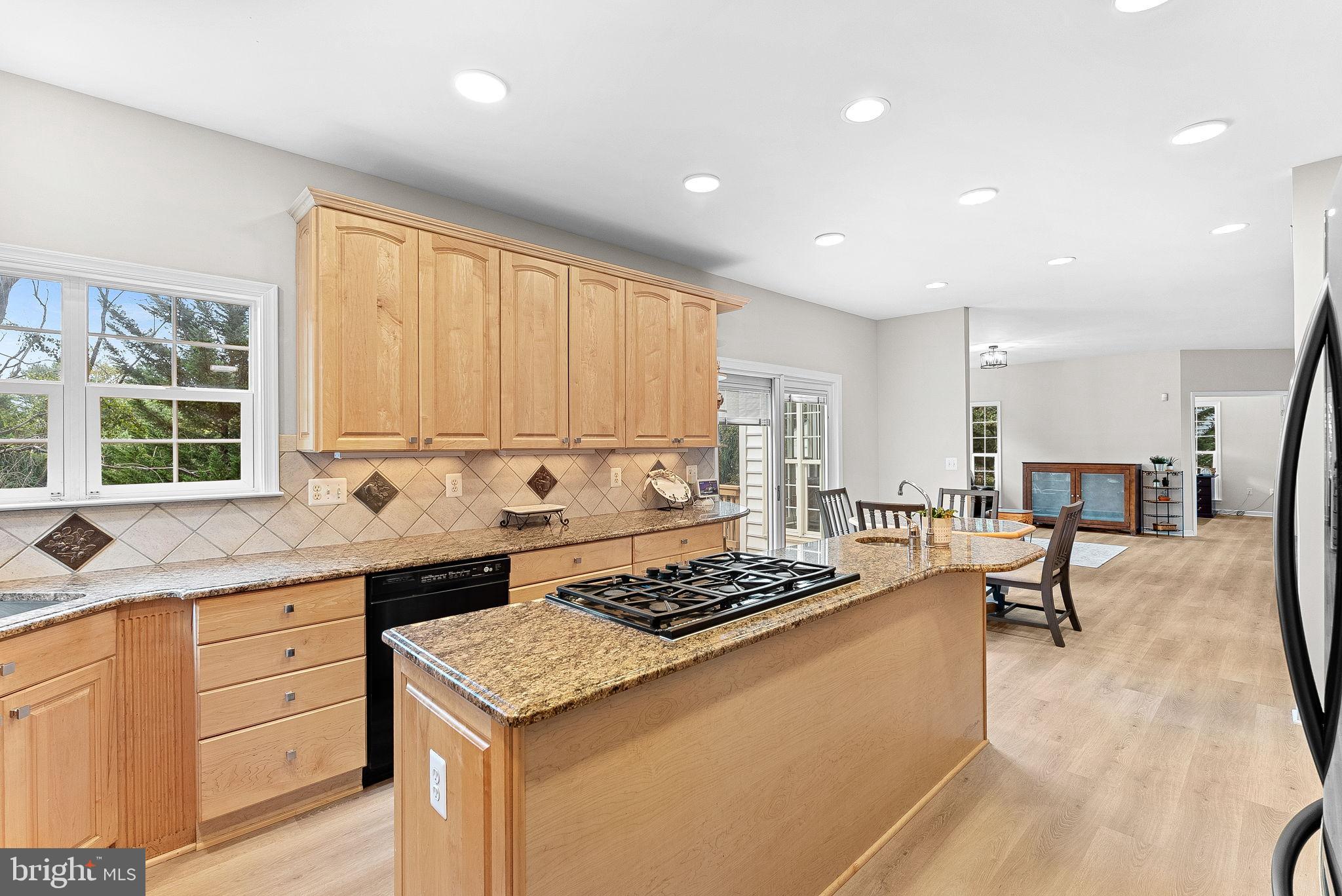 1372 DOMINION RIDGE LANE