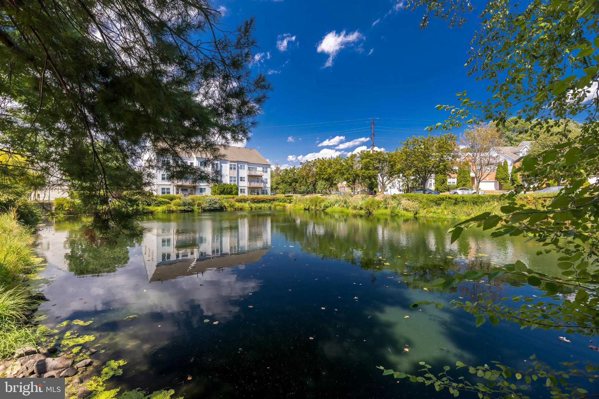 12491 HAYES COURT 404