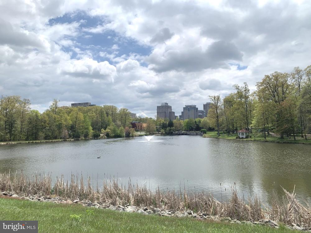 1701 LAKE SHORE DRIVE 11