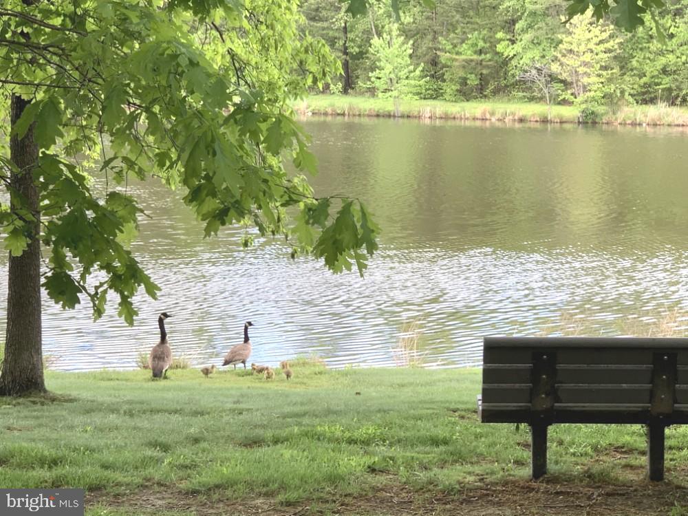 1701 LAKE SHORE DRIVE 11