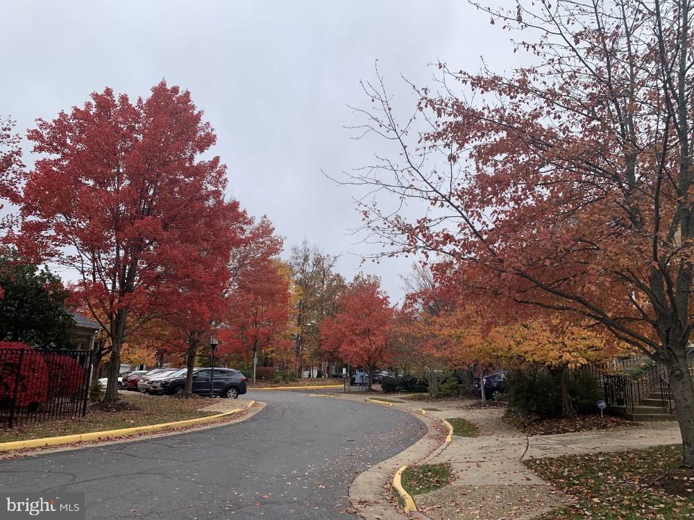 1701 LAKE SHORE DRIVE 11