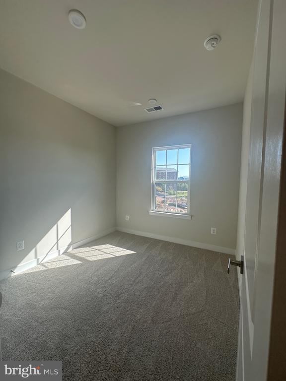 4504 DANDELION LOOP
