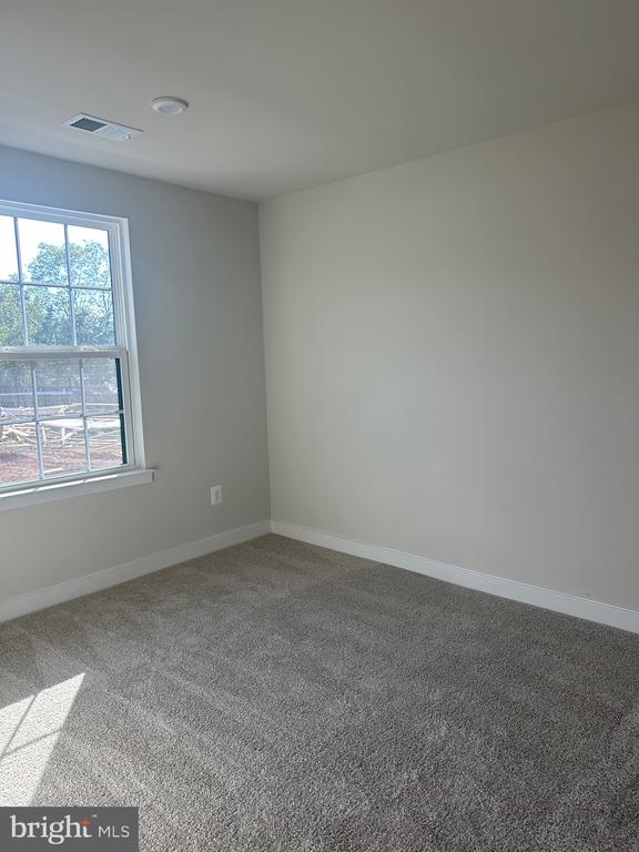 4504 DANDELION LOOP