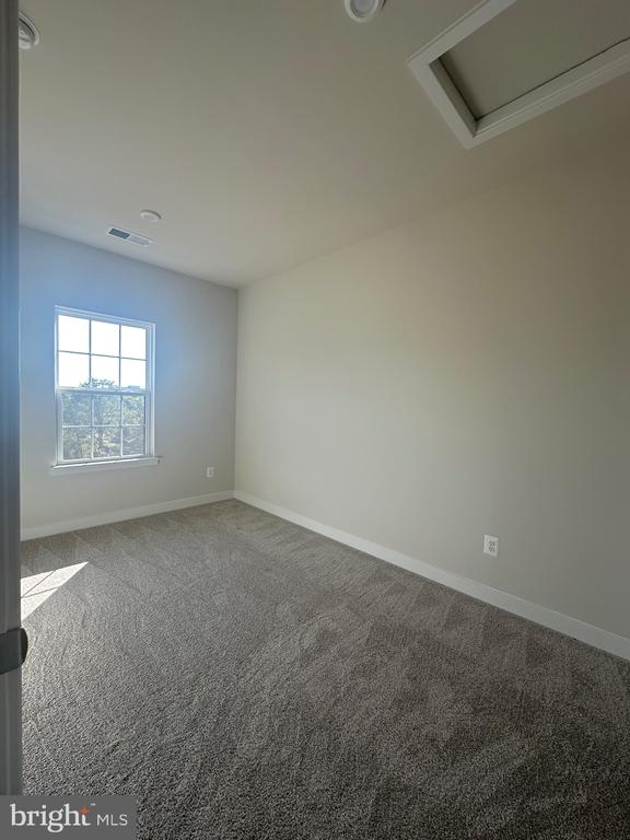 4504 DANDELION LOOP