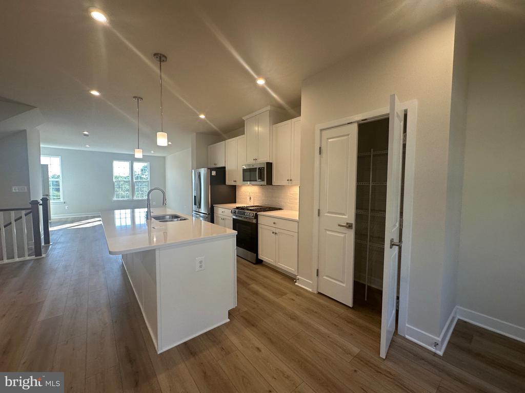 4504 DANDELION LOOP