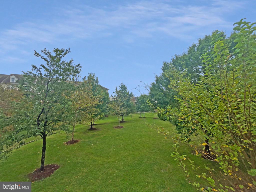 8173 MCCAULEY WAY