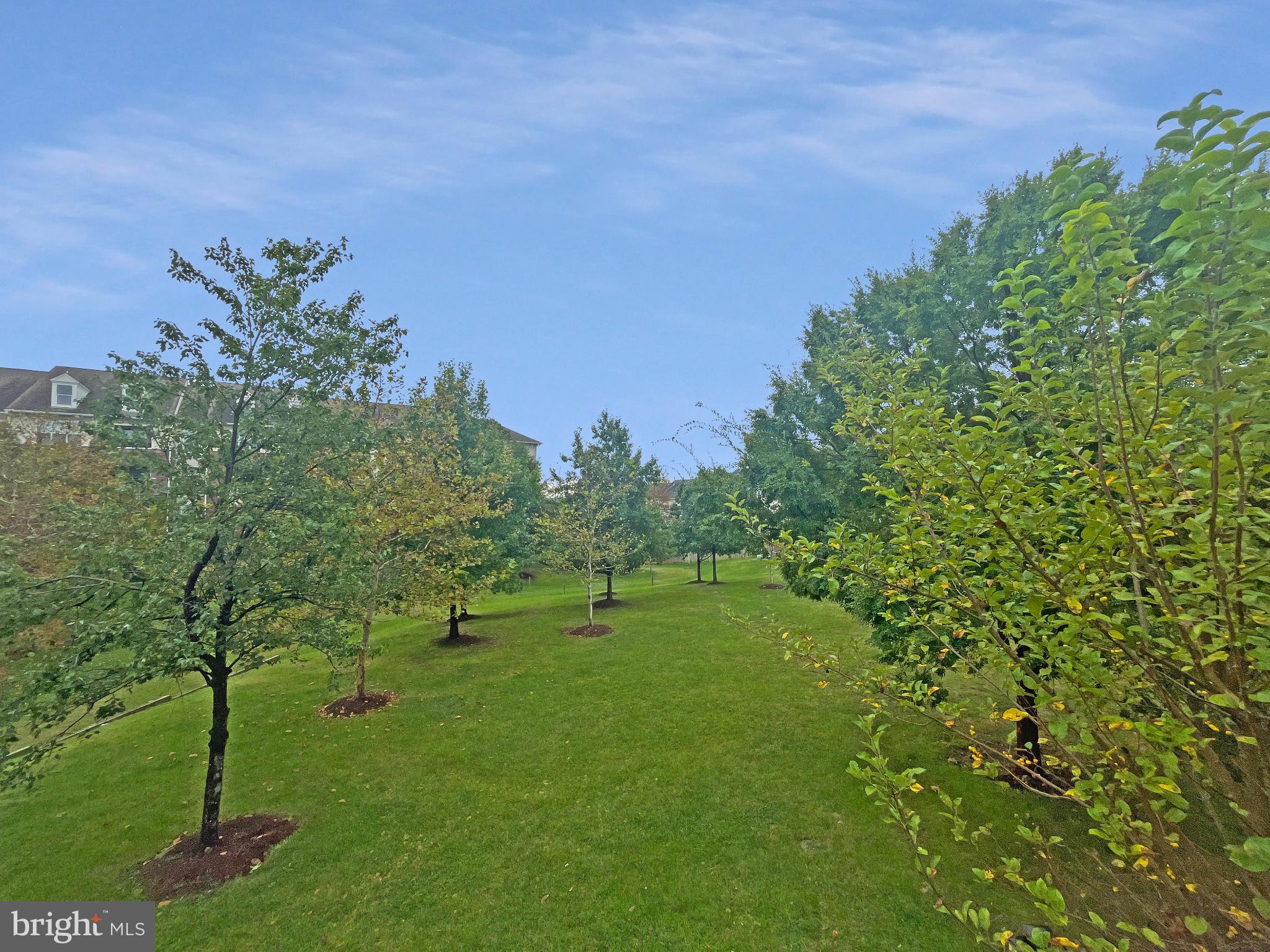 8173 MCCAULEY WAY