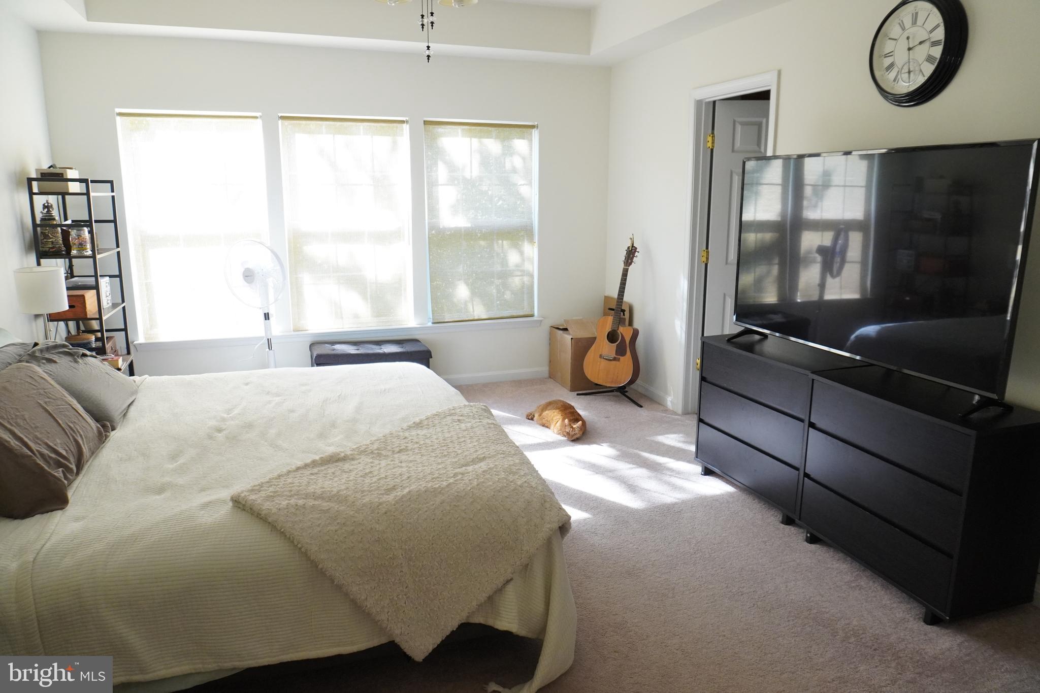 8596 WYNGATE MANOR COURT