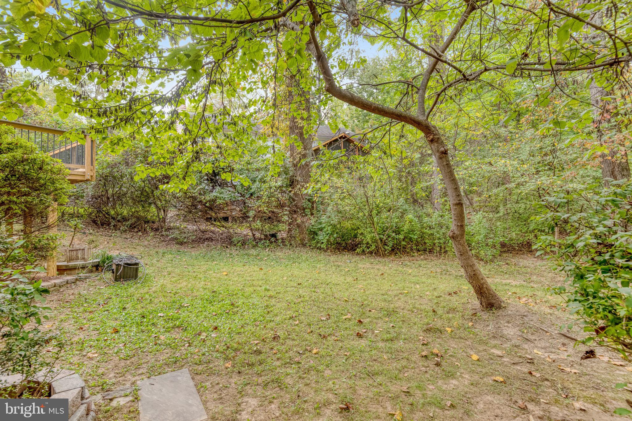 12210 ROWAN TREE DRIVE